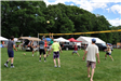 Group Playing Volleyball